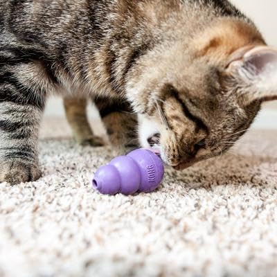 KONG Kitty Classic Cat Toys – 2 Pack – Fillable Treat-Dispensing Toy for Cats – Bounces & Rolls for Interactive Play – Encourages Healthy Exercise & Mental Stimulation