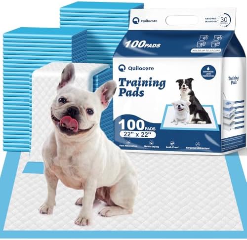 100 Count 22” x 22” Disposable Dog Pee Pads by Quilocare