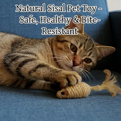 Interactive Cat Toys 6 Pack, Natural Sisal Feather Mice with Rattle - Image 4