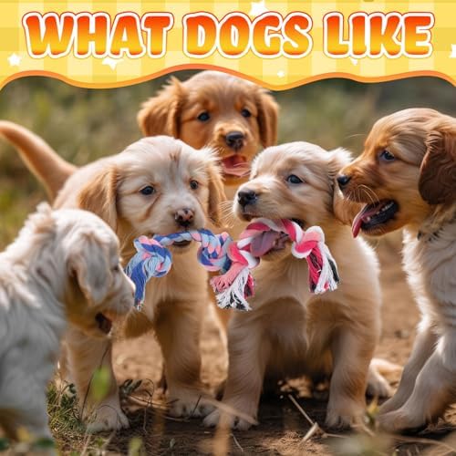 Hiboom 24 Pcs Dog Rope Toys Bulk Multi Color Puppy Chew Rope Cotton Teething Toys 2 Knot Tug for Aggressive Chewers Small and Medium Dogs Puppies - Image 6