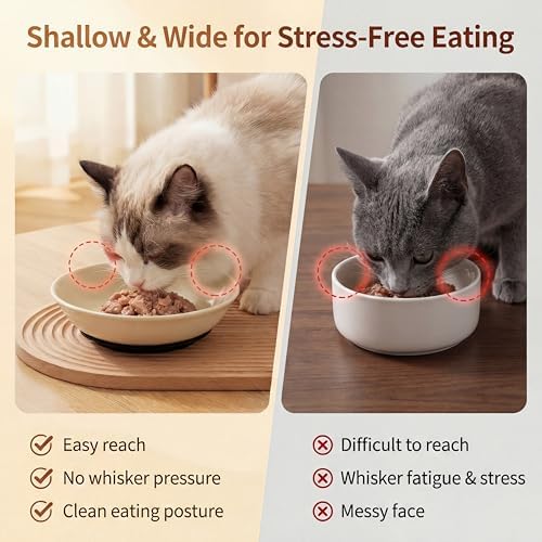 Ceramic Cat Food Bowls 6 Pack – Shallow Cat Bowl with Non-Slip Silicone Base, Whisker-Fatigue Dishes for Indoor Cats – Microwave Dishwasher Safe – 5.3 oz Colorful Pet Plates for Wet Dry Food Water - Image 3