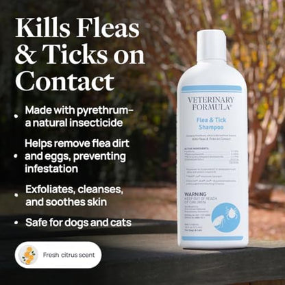 Veterinary Formula Flea & Tick Shampoo for Dogs & Cats, 16 oz, 2-Pack - Image 2