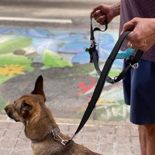 Dog Poop Bag Holder with Dispenser & Storage Pouch - Includes Adjustable Reflective Dog Leash (6FT Bungee, Padded Handles) - Durable Leash for Walking, Training & Travel (Aqua) - Image 3