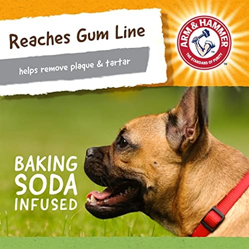 Arm & Hammer for Pets Nubbies Dental Toys T-Rex Dental Chew Toy for Dogs Best Dog Chew Toy for Moderate Chewers Reduces Plaque & Tartar Buildup Without Brushing, Mint Flavor (Pack of 2) - Image 4