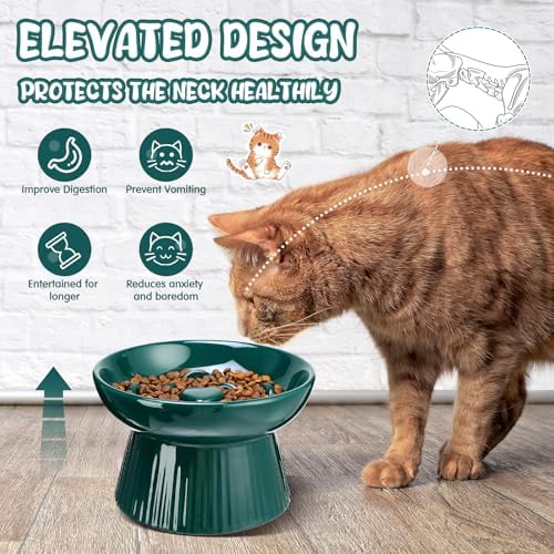 Tioncy 1 Pcs Ceramic Elevated Slow Feeder Cat Bowl, Dark Green - Image 4