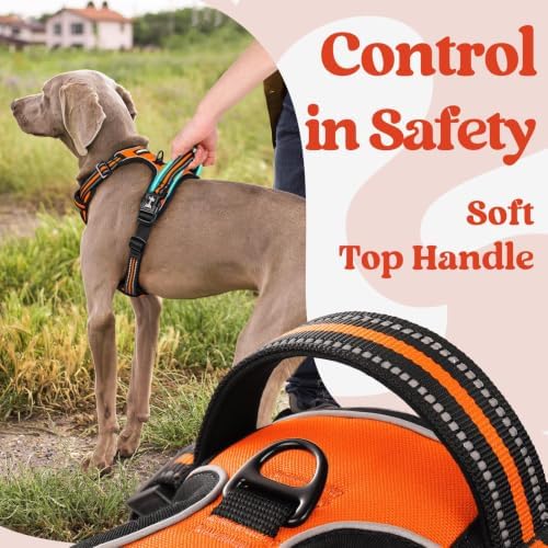 rabbitgoo Dog Harness for Large, Updated Easy On & Off with 3 Buckles - Image 4