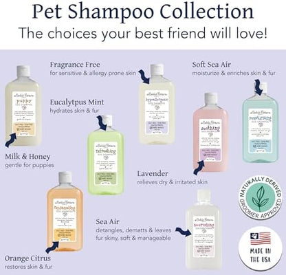 Bobbi Panter Hypoallergenic Dog Shampoo Honey, Aloe Vera, Chamomile & Rosemary – Dye & Fragrance Free Natural Formula for Sensitive & Allergy Skin, Tear-Free, 30:1 Concentrate, Made in USA, 14 oz - Image 5