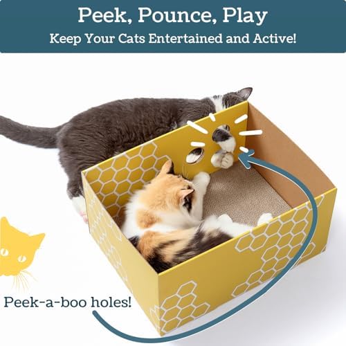 No-Mess Cardboard Cat Scratcher Box - Refillable Double-Sided Scratch Pad - Image 5