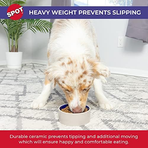 SPOT by Ethical Products – Ceramic Stoneware Pet Bowl for Cats and Small Dogs,Classic Heavy Duty Non Slip Ceramic Cat Dish Dog Bowls for Food and Water - Image 5