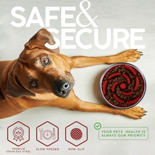 FAHRMOSIS 32 Oz Dog Bowl with Slow Feeder Insert Stainless Steel Pet Water Bowl for Medium & Large Breed Non Slip Rubber Base & Plastic Puzzle Feeder - Red - Image 4