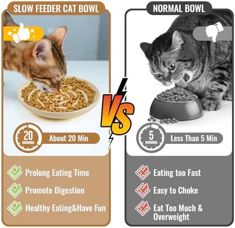 Slow Feeder Cat Bowl Set of 2, Ceramic Slow Feeding Cats Bowl Whisker Friendly, Anti Vomiting Cat Feeder for Dry and Wet Food，Fun Maze Interactive Bloat Stop Puzzle Bowls for Healthy Eating Diet - Image 4