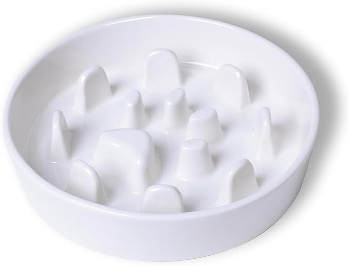 Dog Slow Feeder Bowl, Round Ceramic Pet Food Bowl for Medium Breed, Fun Raised Dog Bowls to Slow Down Eating (White)