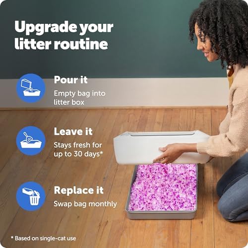 PetSafe ScoopFree Premium Crystal Litter, Lavender Scent, 4.3Lb Bag, 2 Pack - Image 4