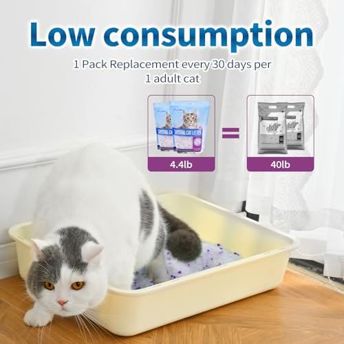 Made4Pets Cat Litter Crystals,Non Clumping Litter 25.8 lbs(6 x 4.3lb Packs) - Image 5