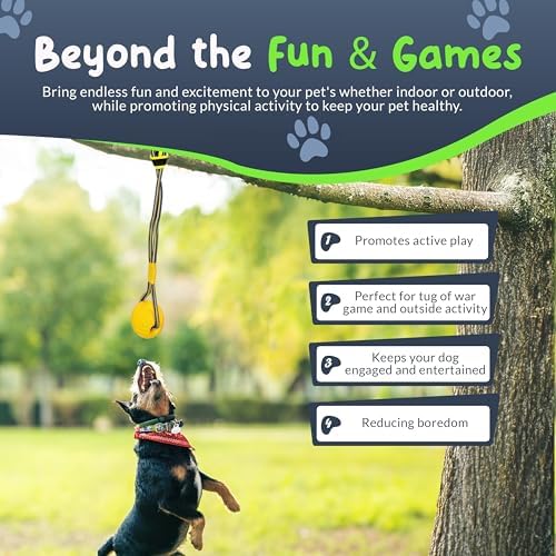 Bungee Tug Toy for Dogs - Outdoor Tree Rope Tether Tug 5 Pack - Spring Pole Dog Toy for Small to Large Breeds - Backyard Flirt Pole Exercise Toy - Image 3