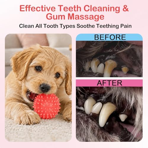 6 Pack Red Dog Chew Toys, Small Dog Teething Toys, Dental Health & Interactive Play - Image 5