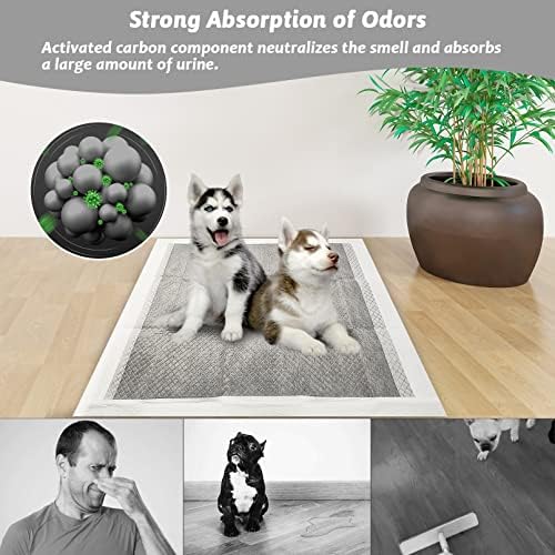 Fhiny Pee Pads for Small Dogs, 24" x 24" 40 PCS Large Disposable Puppy Pads Leak-Proof Super Absorbent Charcoal Potty Training Pad with Quick-Dry Surface for Dogs Puppies Cats Kittens or Small Pets - Image 2