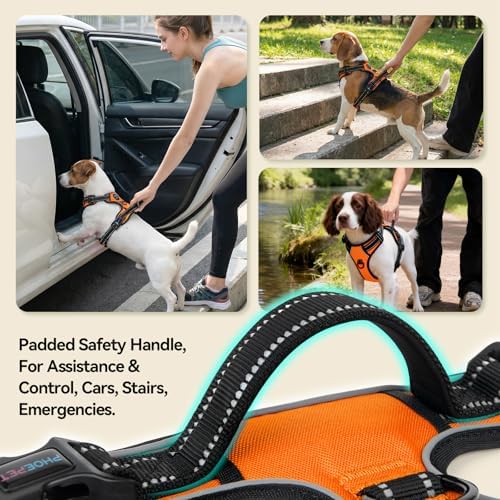 PHOEPET No Pull Dog Harnesses for Small Puppies Reflective Adjustable - Image 4