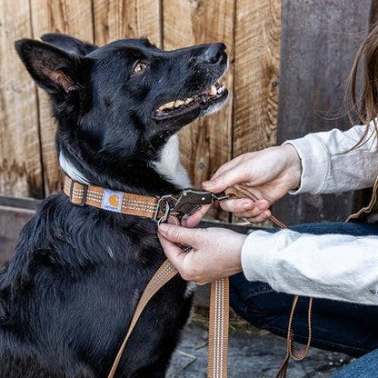 Carhartt Nylon Dual Handle Dog Leash Carhartt Brown L - Image 5