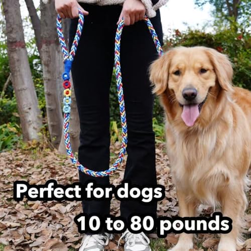 5FT Braided Cotton Rope Leash for Small, Medium and Large Dogs, Colorful Carousel - Image 2