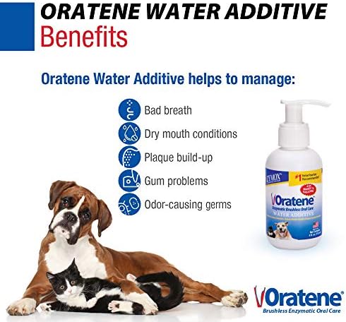 PET King Brands Zymox Oratene Water Additive Enzymatic Brushless Oral Care, 4 Ounces - Image 2