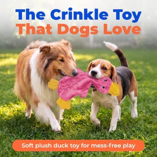 Best Pet Supplies Interactive Squeaky Dog Toy - Crinkle Duck, Pink - Image 2