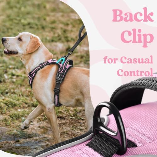 rabbitgoo Dog Harness Small Sized, Updated Easy On & Off with 3 Buckles - Image 6