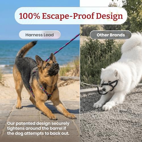 Harness Lead No Pull Dog Harness and Leash Set, Anti Pull Dog Harness, One-Piece Cushioned Rope Safely Prevents Escaping and Pulling (Extra Large, Black Reflective) - Image 5