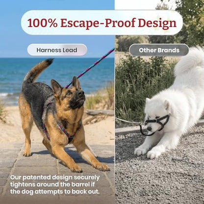 Harness Lead No Pull Dog Harness and Leash Set, Anti Pull Dog Harness, One-Piece Cushioned Rope Safely Prevents Escaping and Pulling (Extra Large, Black Reflective) - Image 5