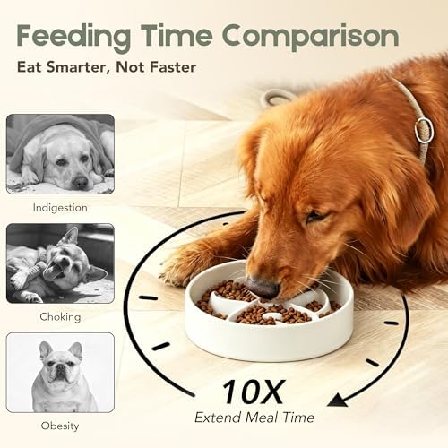 Ceramic Slow Feeder Dog Bowl, 8” Dog Bowls for Medium & Large Breed, White - Image 3