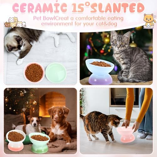 Hushee 4 Pcs Ceramic Raised Cat Food Bowls Elevated Tilted Dish Anti Vomiting Food or Water Bowls Pet Supplies - Image 6