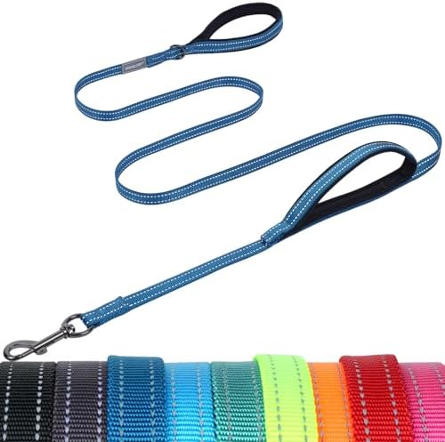 VIVAGLORY Double Handle Dog Leash Twingrip, 5ft x 1/2in, Navy by VIVAGLORY