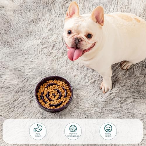 vancasso Slow Feeder Dog Bowl, 0.6 Cups Ceramic Small Puzzle Dog Food Dish - Image 5