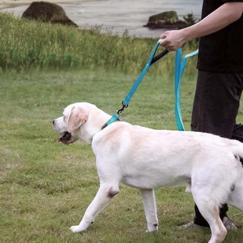 Wagtime Club Heavy Duty Double Handle Dog Leash for Large Medium Small Dogs - Image 5