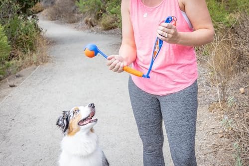 Chuckit! Fetch and Fold Mini 18M Launcher with Medium 2.5in Ball - Image 5