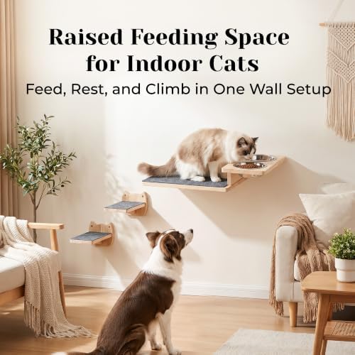 PatiencET Wall Mounted Shelves Cat Feeding Station with 3 Steps and 2 Bowls - Image 2