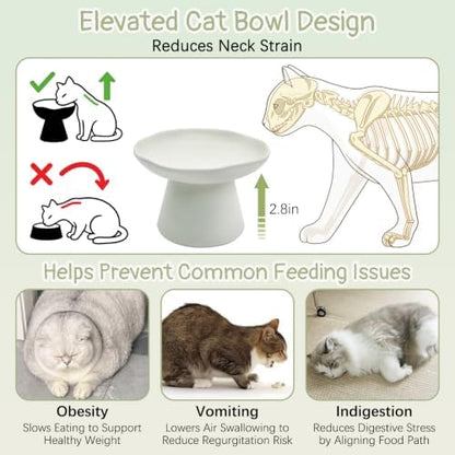 VCEPJH Raised Cat Food Bowls Shallow Cat Plate Pack of 2 Ceramic Elevated Cats Dish 6.1in Flat Anti Whisker Fatigue Wide Pet Food & Water Feeder for Indoor Kitty Kitten (White) - Image 3