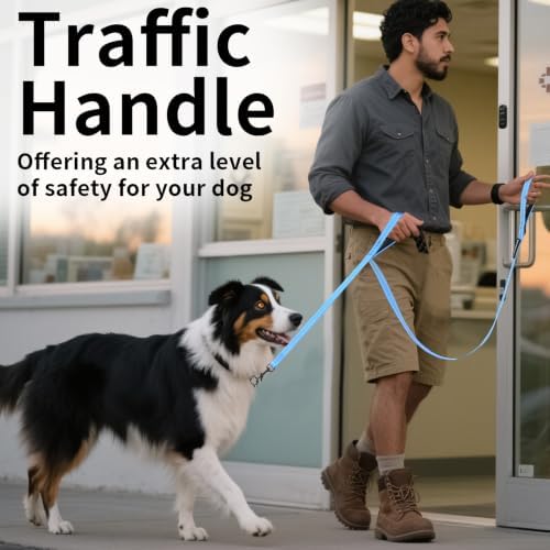 Reflective Dog Leash with Double Handle, Dog Leash 4 FT Long, Supports Medium and Large Dogs, Heavy Duty for Walking, Running, and Training, Blue - Image 6