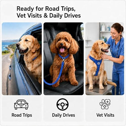 Dog Car Restraint Tether 2Pcs, Retractable Pet Travel Harness - Image 7