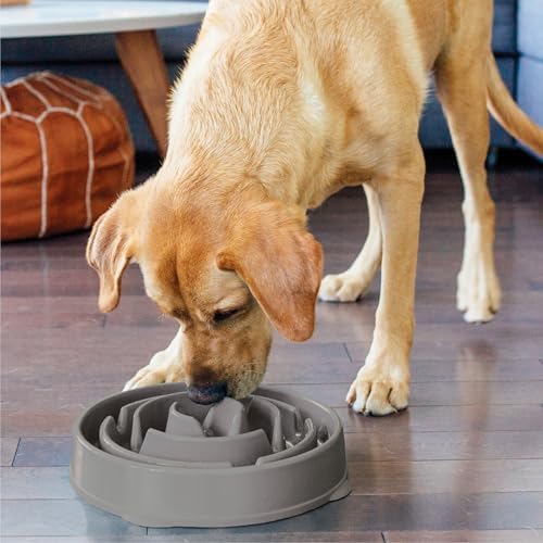 Outward Hound Fun Feeder Slo Bowl Dog Slow Feeder, Drop, Gray, 11.8" - Image 6