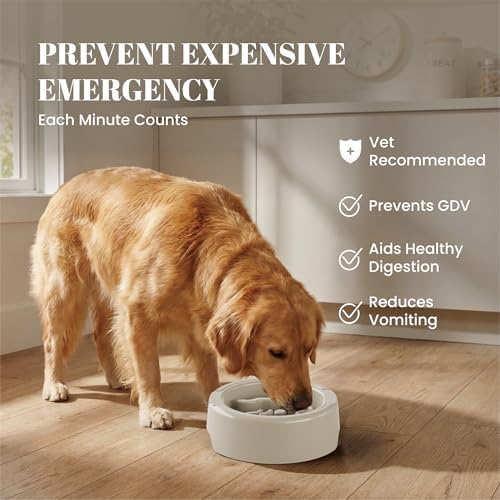 AVERYDAY 3 Pack Slow Feeder Dog Bowl Set, Two Weighted Maze Insert Bowls, Anti-Slip Changeable Puzzle Feeding Bowl for Wet Dry & Raw Dog Food, Slow Eating Deep Pet Food Dish for Medium & Large Breeds - Image 2