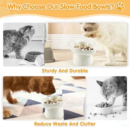 Cat Slow Feeder Bowl Set,1 Pcs Pastel Series Cat Plate for Dry and Wet Food - Image 3