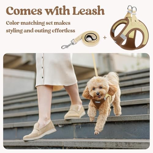 rabbitgoo Dog Harness Small Sized and Leash Set, Step-in Puppy Pet Vest - Image 5