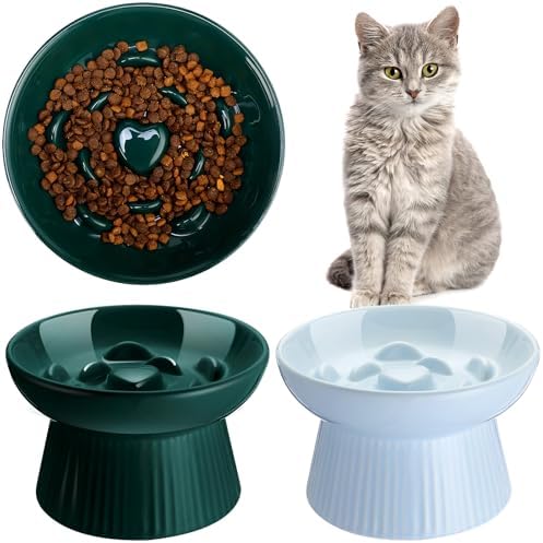 Tioncy 2 Pcs Ceramic Elevated Slow Feeder Cat Bowl, Dark Green, Blue by Tioncy
