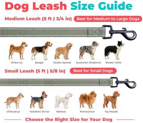 Best Pet Supplies Voyager Nylon Dog Leash - Moss Green, Medium - Image 6