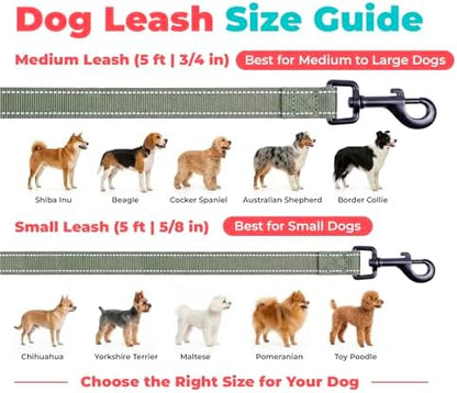 Best Pet Supplies Voyager Nylon Dog Leash - Moss Green, Medium - Image 6