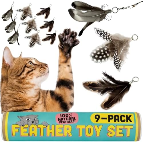 Cat Feather Toy Refill 9-Pack, Natural Feather Cat Toys for Kittens & Bored Indoor Cats, Small Cat Wand Attachments, Feather Replacement for Forever Stick Cat Wand, Cat Wand Refill by Repounce