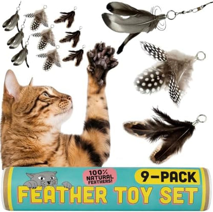 Cat Feather Toy Refill 9-Pack, Natural Feather Cat Toys for Kittens & Bored Indoor Cats, Small Cat Wand Attachments, Feather Replacement for Forever Stick Cat Wand, Cat Wand Refill by Repounce