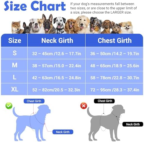 Funfox Dog Harness No Pull, Adjustable Pet Vest Harness, Super Soft Material with Vertical Handle Easy Control, Reflective Night Walking, 2 Leash Clips for XLarge Dogs, Blue, XL - Image 2
