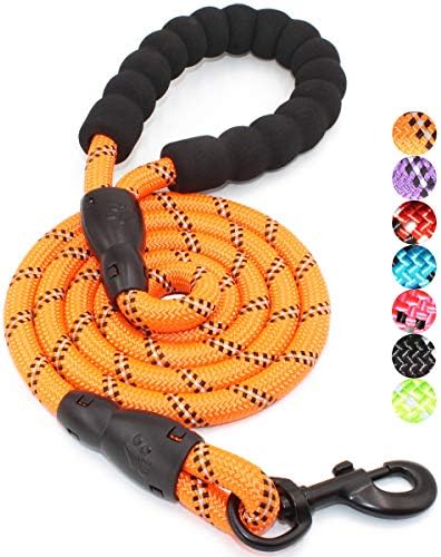 BAAPET 2/4/5/6 FT Dog Leash with Comfortable Padded Handle and Highly Reflective Threads for Small Medium and Large Dogs (5FT-1/2'', Orange) by BAAPET